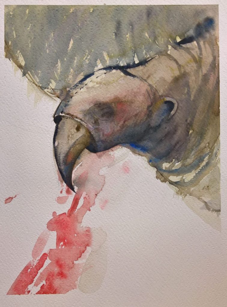 Acuarela s/Fabriano 300 grs. 